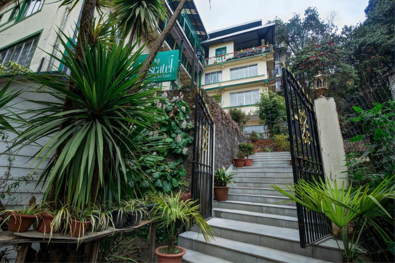 Muscatel Himalayan Resort - 400 Mts From Mall Road Darjeeling  Ngoại thất bức ảnh
