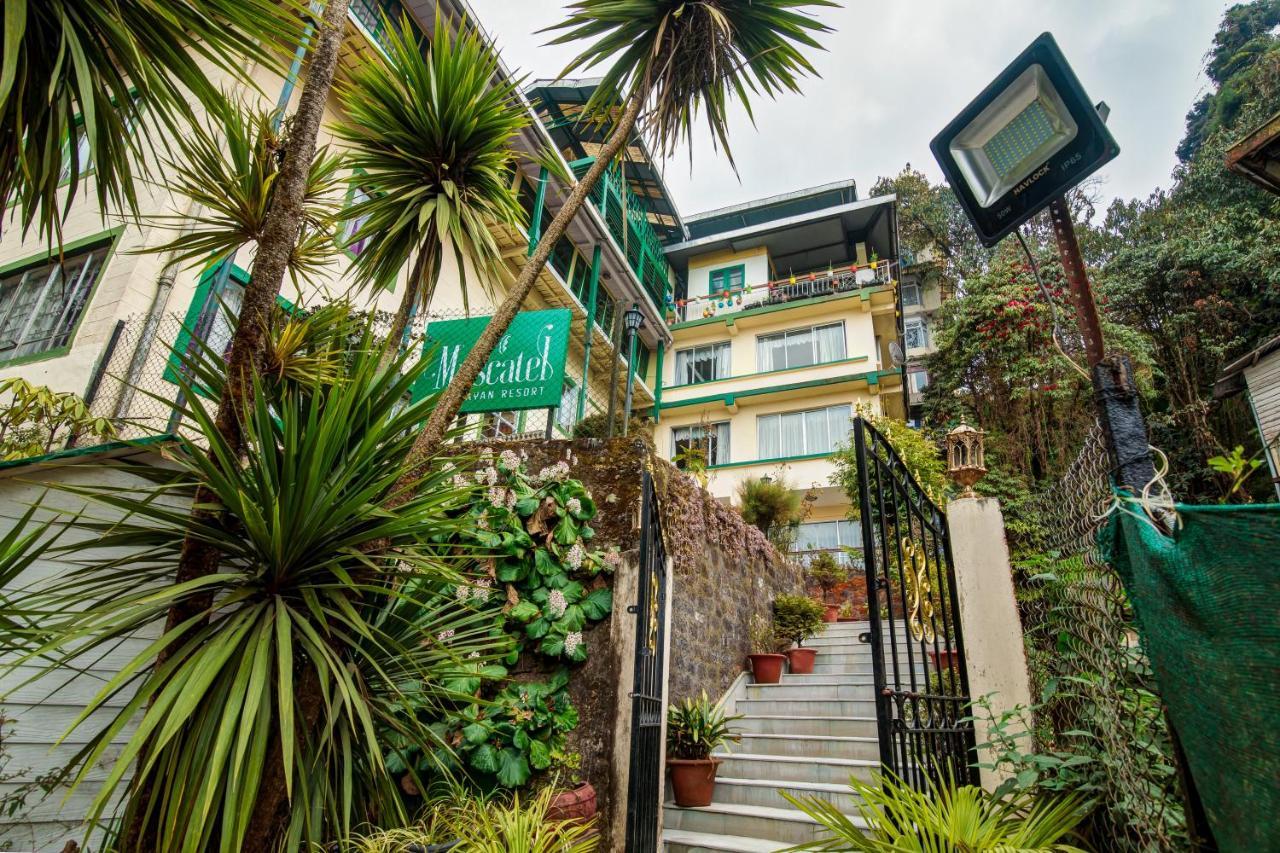 Muscatel Himalayan Resort - 400 Mts From Mall Road Darjeeling  Ngoại thất bức ảnh
